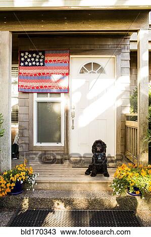 Stock Image - Dog sitting on front porch. Fotosearch