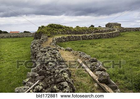 Stock Image - Elevated walkway between rural fields. Fotosearch