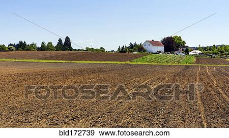 Farm fields in rural landscape View Large Photo Image Stock Photo - Farm fields in rural landscape. Fotosearch