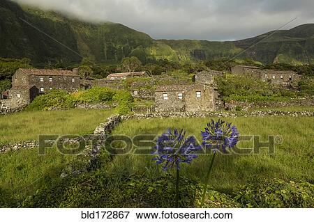 Stock Photo - Field of flowers outside rural village. Fotosearch