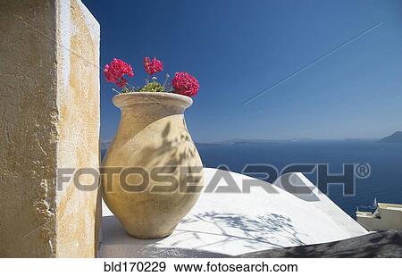 Flower pot on balcony overlooking seascape View Large Photo Image Stock Photo - Flower pot on balcony overlooking seascape. Fotosearch