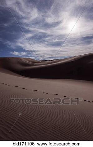Stock Photograph - Footprints in desert sand dunes. Fotosearch