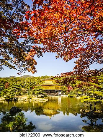 Stock Image - Gold Temple reflecting in still lake, Kyoto, Japan. Fotosearch