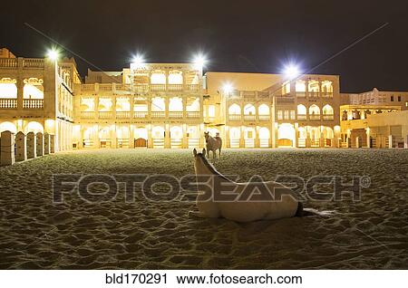 Horse laying in sand outside illuminated building View Large Photo Image Stock Image - Horse laying in sand outside illuminated building. Fotosearch