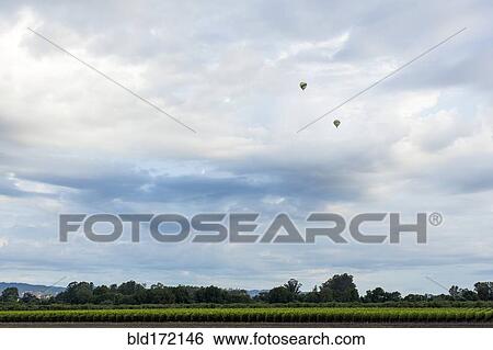 Stock Photograph - Hot air balloons flying over rural landscape. Fotosearch