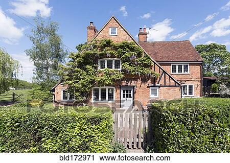 Stock Image - Ivy growing on house over front lawn. Fotosearch