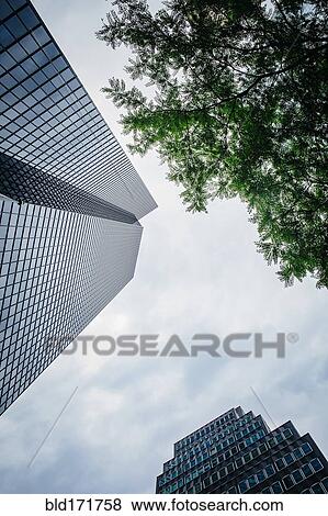 Low angle view of high rise buildings and tree under cloudy sky View Large Photo Image Stock Photo - Low angle view of high rise buildings and tree under cloudy sky. Fotosearch