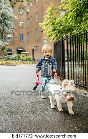 Stock Image - Mixed race boy walking dog on city sidewalk. Fotosearch