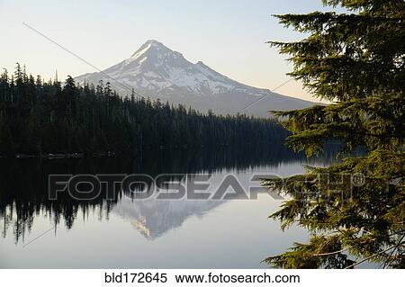 Mount Hood reflecting in Lost Lake, Hood River, Oregon, United States View Large Photo Image Stock Photography - Mount Hood reflecting in Lost Lake, Hood River, Oregon, United States. Fotosearch
