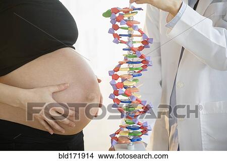 Picture - Pregnant woman and doctor examining DNA model. Fotosearch