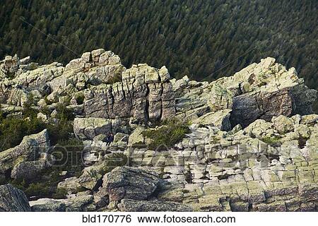 Rocky cliffs over forest treetops in remote landscape View Large Photo Image Stock Photograph - Rocky cliffs over forest treetops in remote landscape. Fotosearch