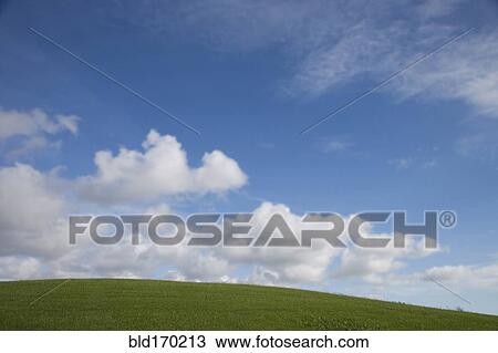 Stock Image - Rolling green hill under blue sky. Fotosearch