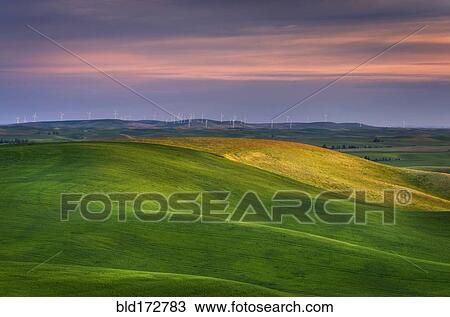Stock Image - Rolling green hills in rural landscape. Fotosearch