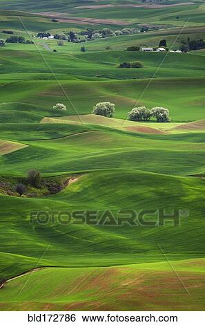 Stock Photograph - Rolling green hills in rural landscape. Fotosearch