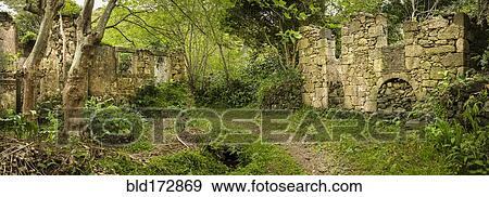 Ruin buildings on dirt path in remote forest View Large Photo Image Stock Photo - Ruin buildings on dirt path in remote forest. Fotosearch