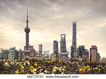 Stock Image - Shanghai city skyline over field of flowers, Shanghai, China. Fotosearch