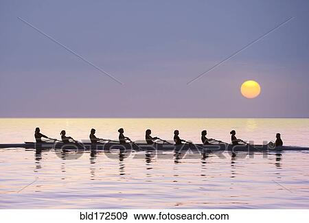 Stock Photo - Silhouette of rowing team practicing on still lake. Fotosearch
