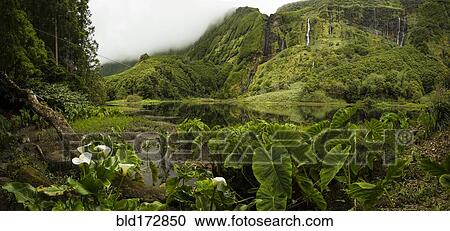 Still river in lush remote landscape View Large Photo Image Stock Image - Still river in lush remote landscape. Fotosearch