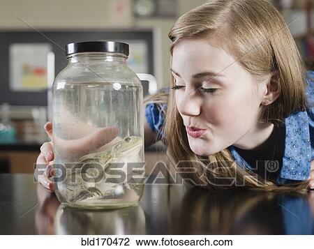 Stock Image - Student examining frog in jar in classroom. Fotosearch