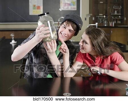 Students examining frog in science lab classroom View Large Photo Image Stock Image - Students examining frog in science lab classroom. Fotosearch