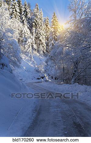 Stock Image - Sunshine over path in snowy forest. Fotosearch