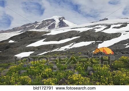 Tent at campsite in remote landscape View Large Photo Image Stock Image - Tent at campsite in remote landscape. Fotosearch