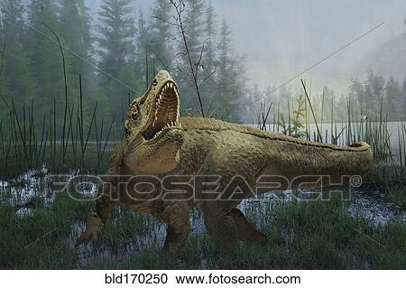 Tyrannosaurus rex dinosaur prowling in marsh View Large Photo Image Stock Image - Tyrannosaurus rex dinosaur prowling in marsh. Fotosearch