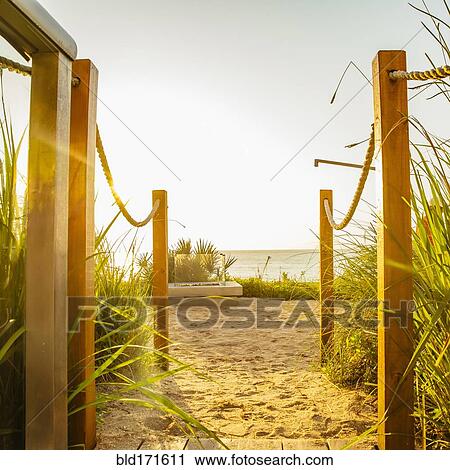 Walkway to beach under blue sky View Large Photo Image Stock Image - Walkway to beach under blue sky. Fotosearch