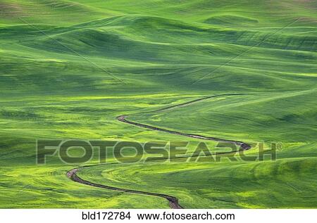 Picture - Winding irrigation ditch through rolling hills in rural landscape. Fotosearch