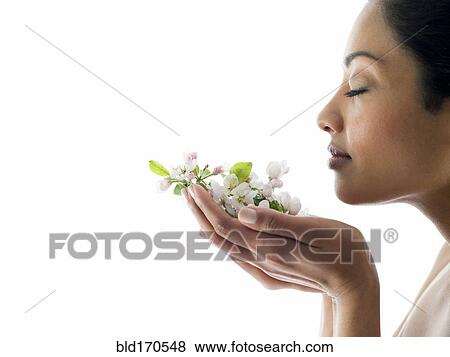 Woman smelling handful of flowers View Large Photo Image Stock Photo - Woman smelling handful of flowers. Fotosearch