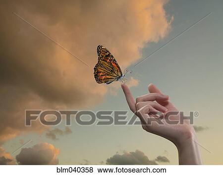Butterfly with circuit board wings perching on finger in sky View Large Photo Image Stock Photo - Butterfly with circuit board wings perching on finger in sky. Fotosearch