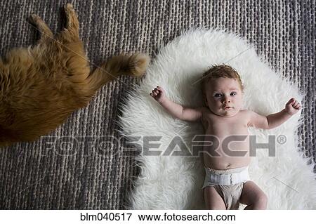 Caucasian baby girl laying on carpet with cat View Large Photo Image Stock Photo - Caucasian baby girl laying on carpet with cat. Fotosearch