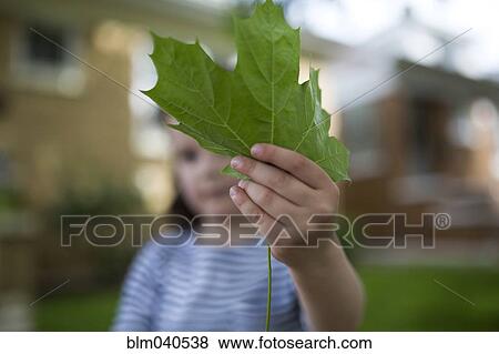 Stock Photo - Caucasian girl holding green leaf. Fotosearch