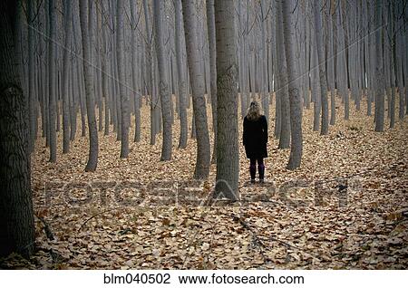 Caucasian woman standing in autumn forest View Large Photo Image Stock Image - Caucasian woman standing in autumn forest. Fotosearch