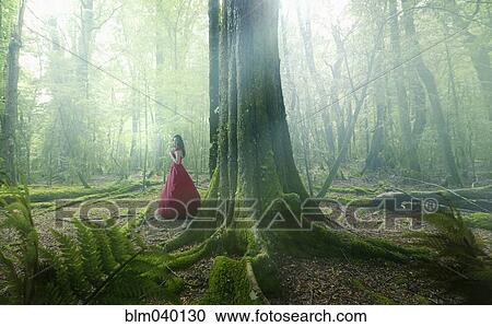 Middle Eastern woman wearing evening gown in forest View Large Photo Image Stock Image - Middle Eastern woman wearing evening gown in forest. Fotosearch