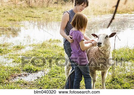 Mother and daughter petting sheep on farm View Large Photo Image Stock Image - Mother and daughter petting sheep on farm. Fotosearch