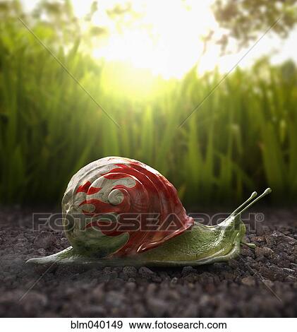 Snail with flames on shell in grass View Large Photo Image Stock Photo - Snail with flames on shell in grass. Fotosearch
