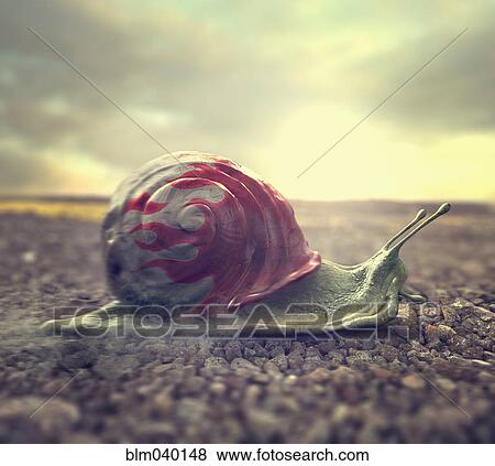 Snail with flames on shell on gravel View Large Photo Image Stock Photo - Snail with flames on shell on gravel. Fotosearch
