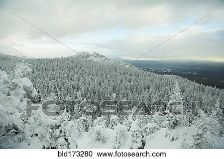 Aerial view of snowy forest in remote landscape View Large Photo Image Stock Image - Aerial view of snowy forest in remote landscape. Fotosearch