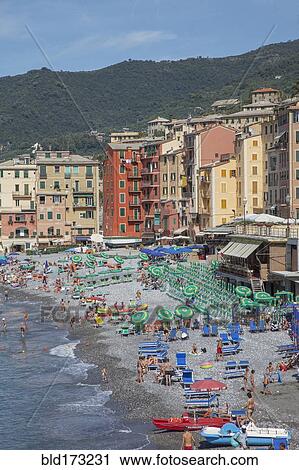 Aerial view of tourists on Camogli beach, Liguria, Italy View Large Photo Image Stock Image - Aerial view of tourists on Camogli beach, Liguria, Italy. Fotosearch