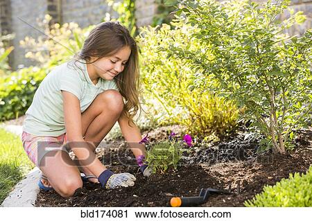 Caucasian girl planting seedling in backyard View Large Photo Image Stock Image - Caucasian girl planting seedling in backyard. Fotosearch