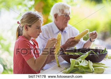 Caucasian grandfather and granddaughter shucking corn View Large Photo Image Stock Photo - Caucasian grandfather and granddaughter shucking corn. Fotosearch