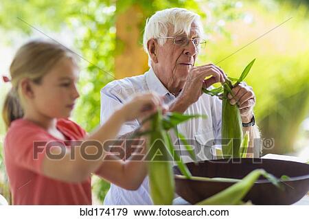 Stock Photo - Caucasian grandfather and granddaughter shucking corn. Fotosearch
