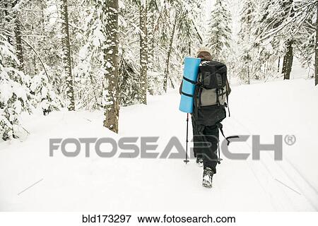 Caucasian hiker walking in snowy forest View Large Photo Image Stock Photo - Caucasian hiker walking in snowy forest. Fotosearch