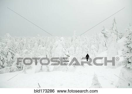 Stock Photograph - Caucasian hiker walking in snowy forest. Fotosearch