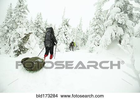 Caucasian hikers walking in snowy forest View Large Photo Image Picture - Caucasian hikers walking in snowy forest. Fotosearch