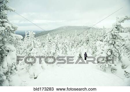 Caucasian hikers walking in snowy forest View Large Photo Image Stock Image - Caucasian hikers walking in snowy forest. Fotosearch