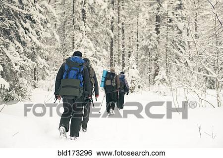 Stock Photograph - Caucasian hikers walking in snowy forest. Fotosearch