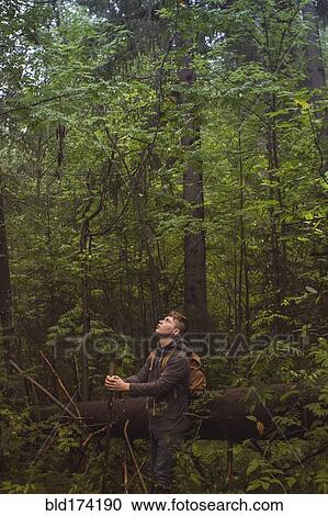 Stock Image - Caucasian man walking in forest. Fotosearch