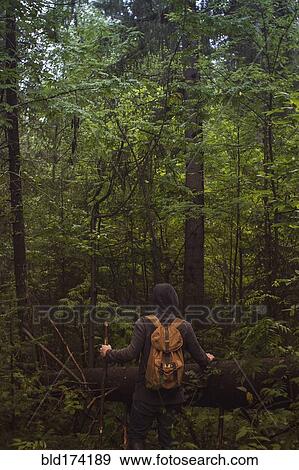 Stock Photo - Caucasian man walking in forest. Fotosearch